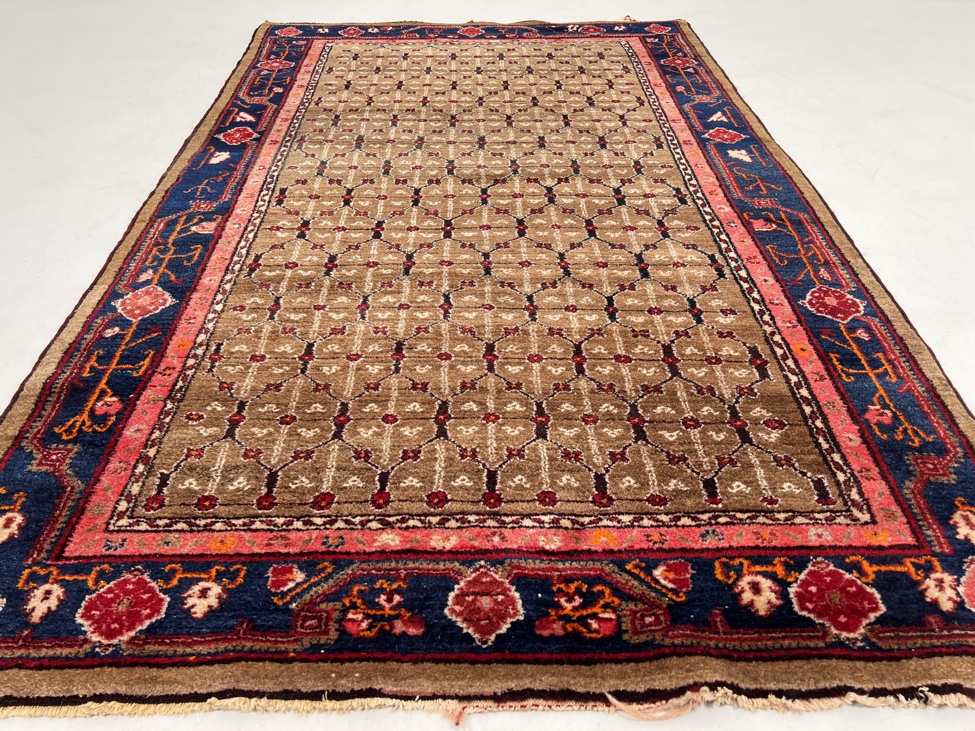 HC2583 kilimas 3.jpg