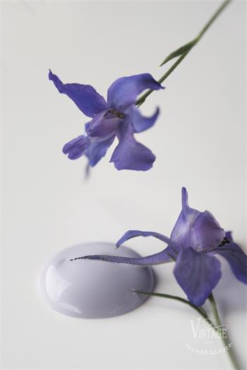 [701113] French Lavender 700ml.jpg