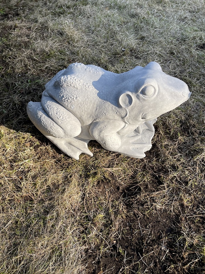 Garden sculpture frog.JPG