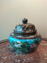 IMG_20201111_153958.jpg